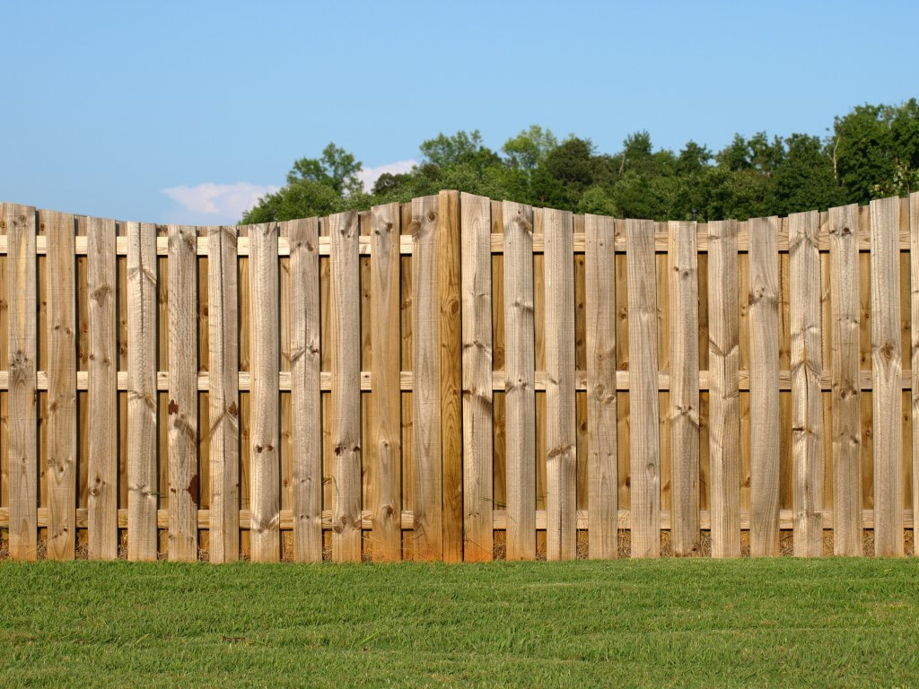 An image of Wood Fence in Keller, TX
